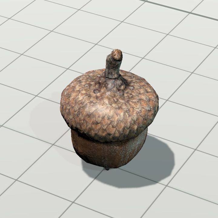Acorn