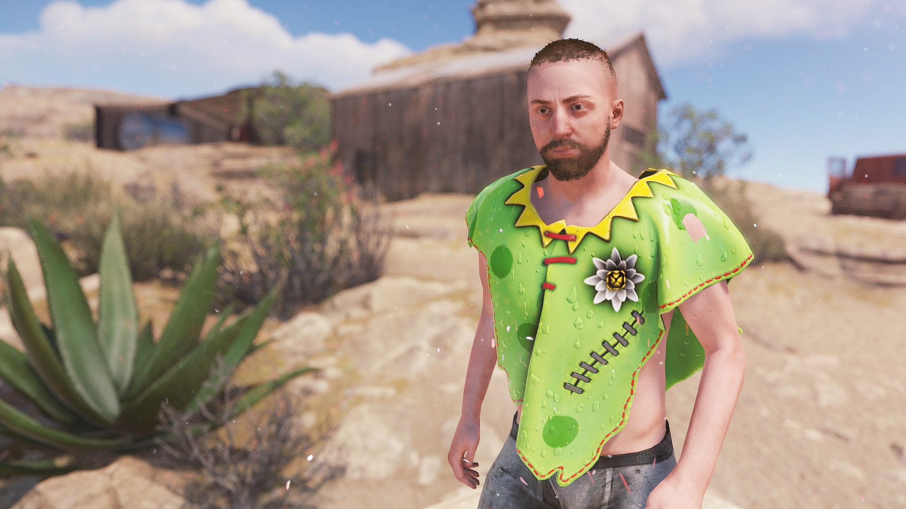 Frog Cosplay Poncho