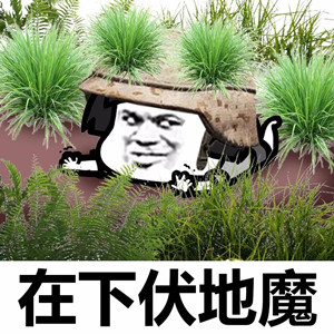 【星宇v】<color=#FF00FF>Be cautious of longevity (innate qi and the spirit of an alien world)</color>