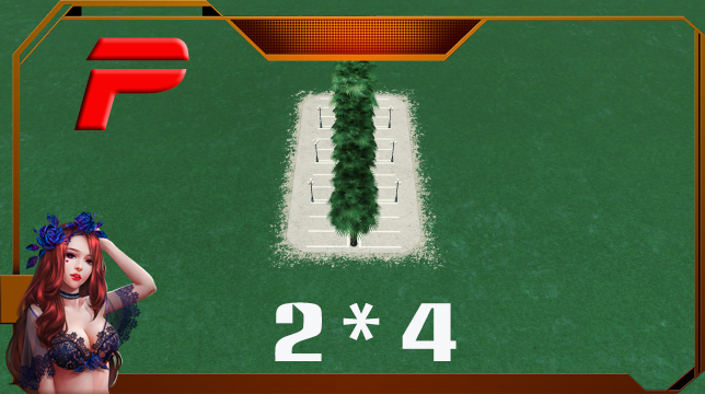 Parking 2*4