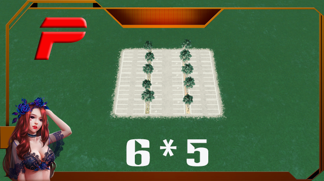 Parking 6*5