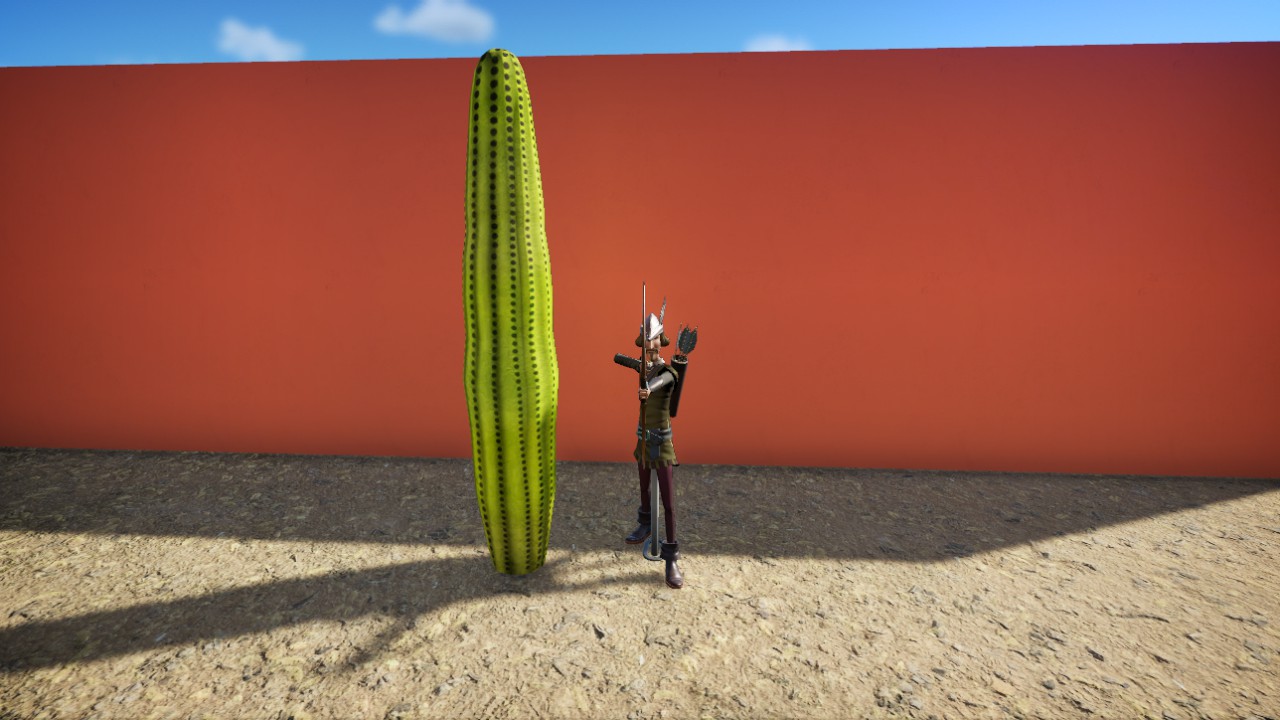 Sweet Saguaro 1