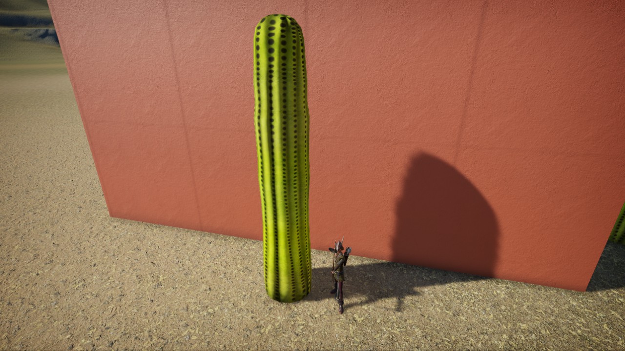 Sweet Saguaro 2