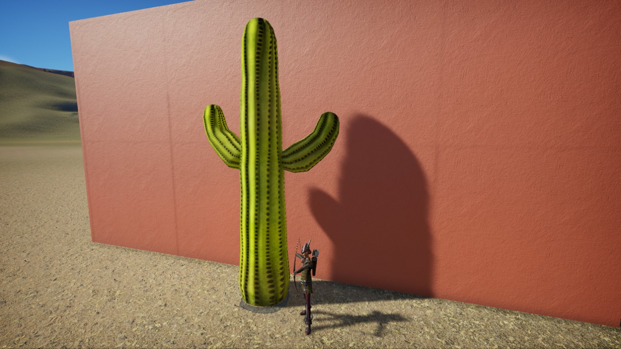 Sweet Saguaro 3