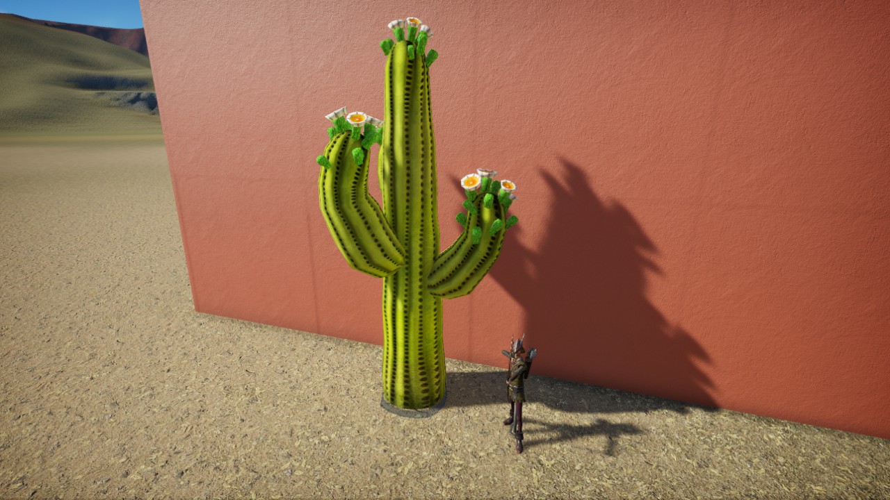 Sweet Saguaro 4
