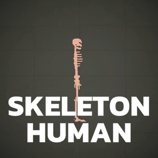 skeleton human