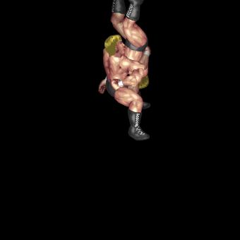 Moonsault Tombstone Piledriver