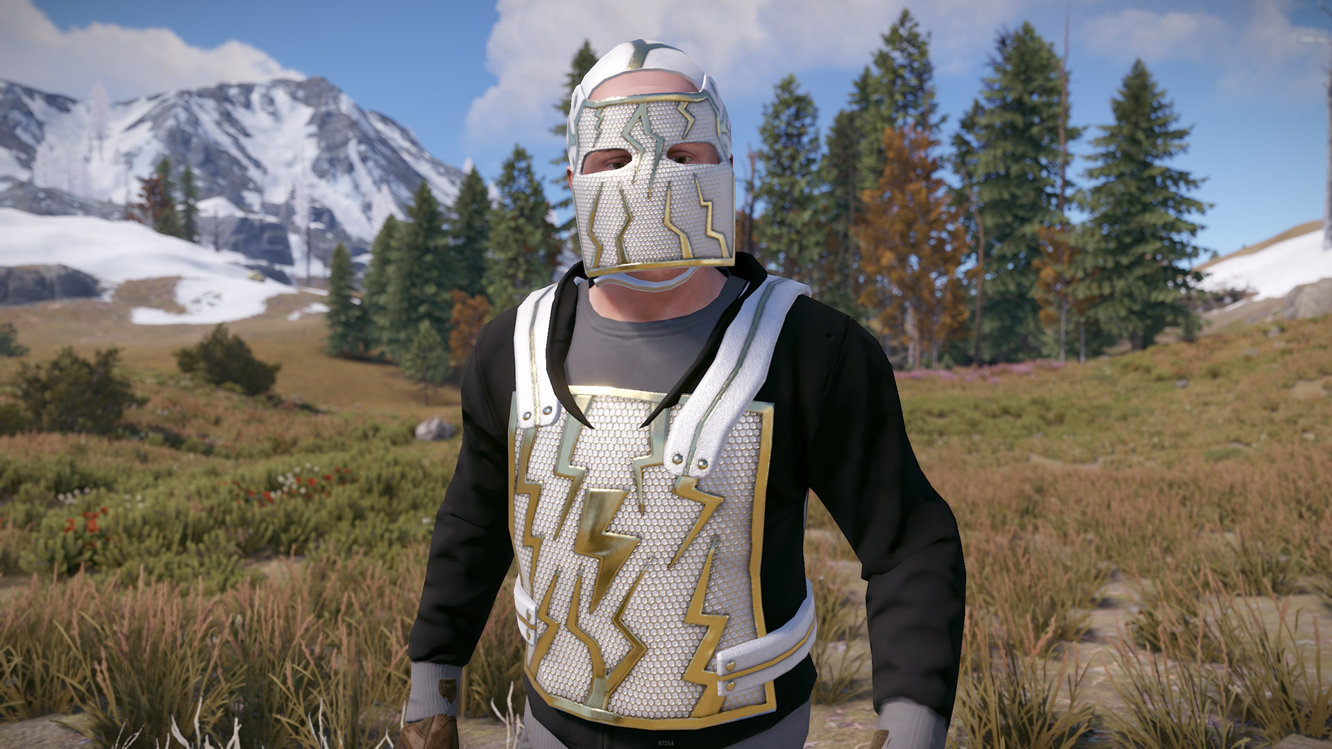 Thundergold Facemask