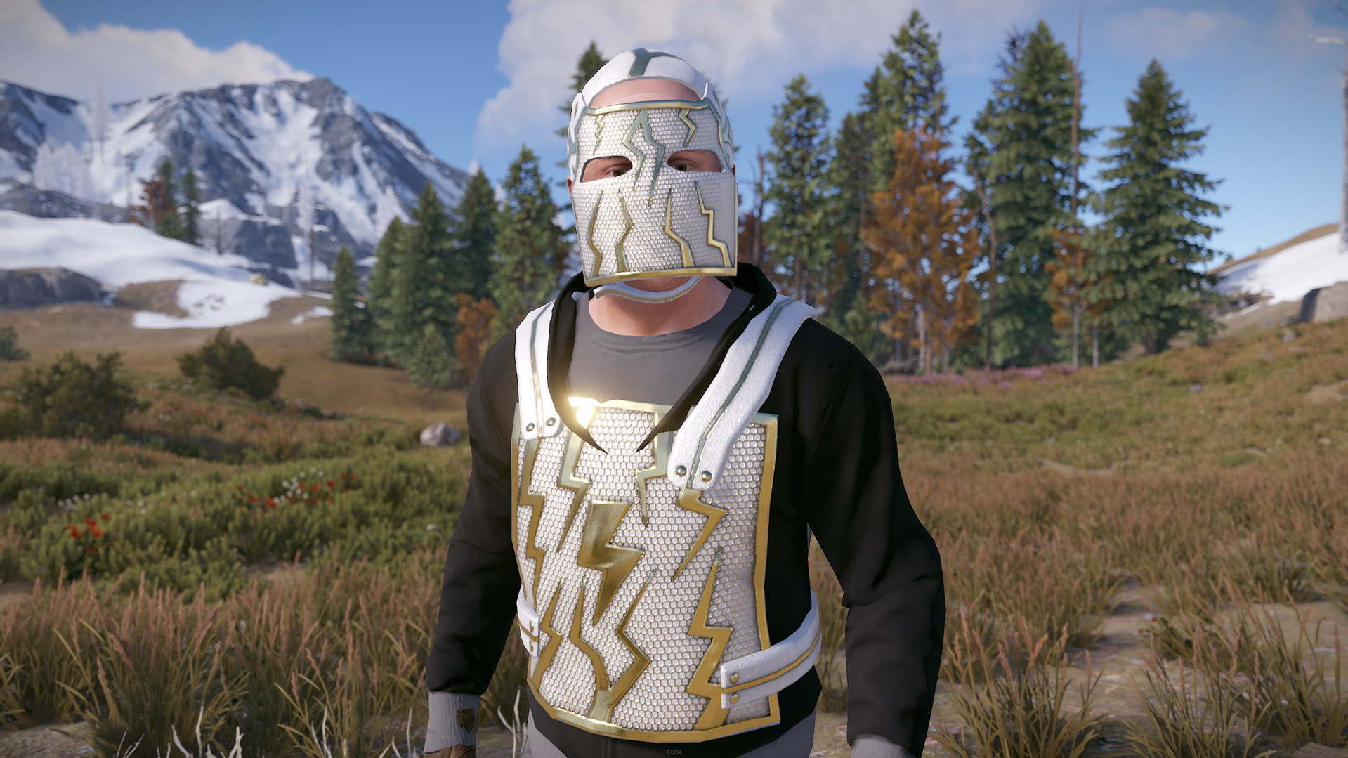 Thundergold Facemask