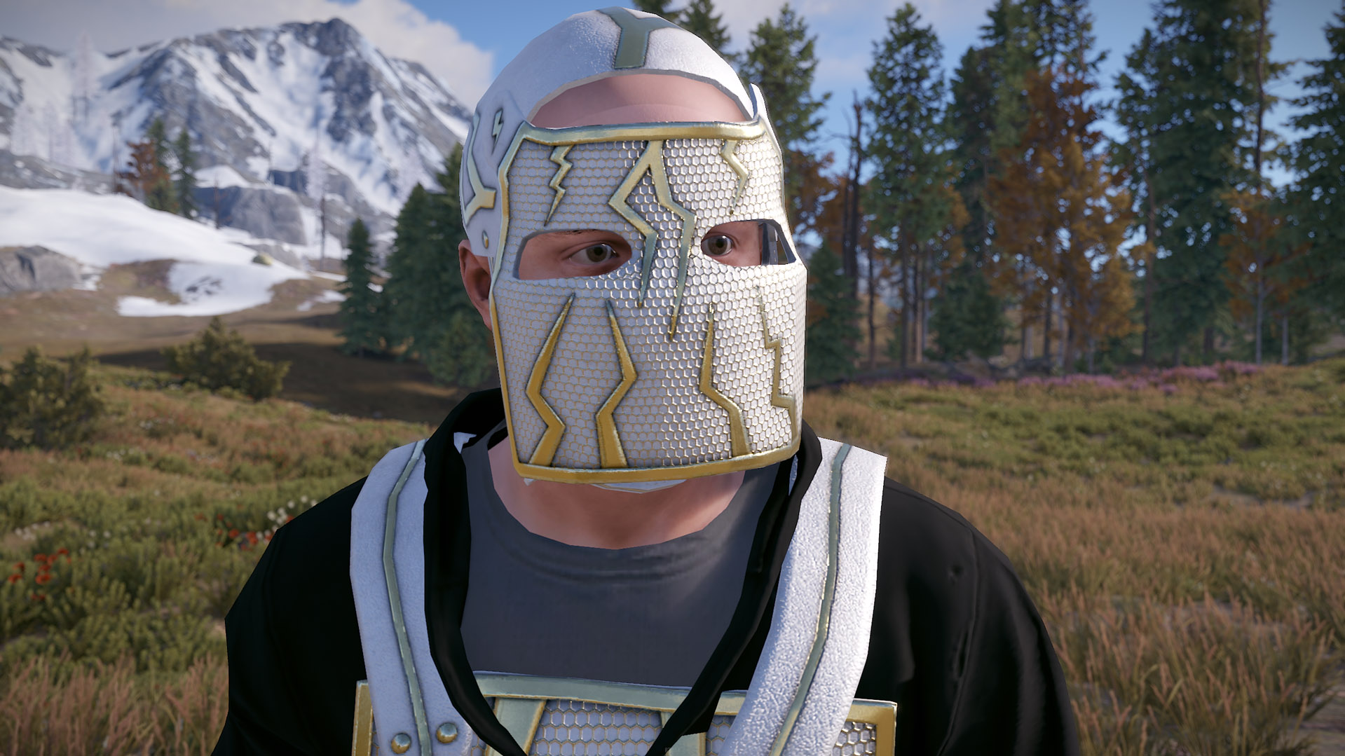 Thundergold Facemask