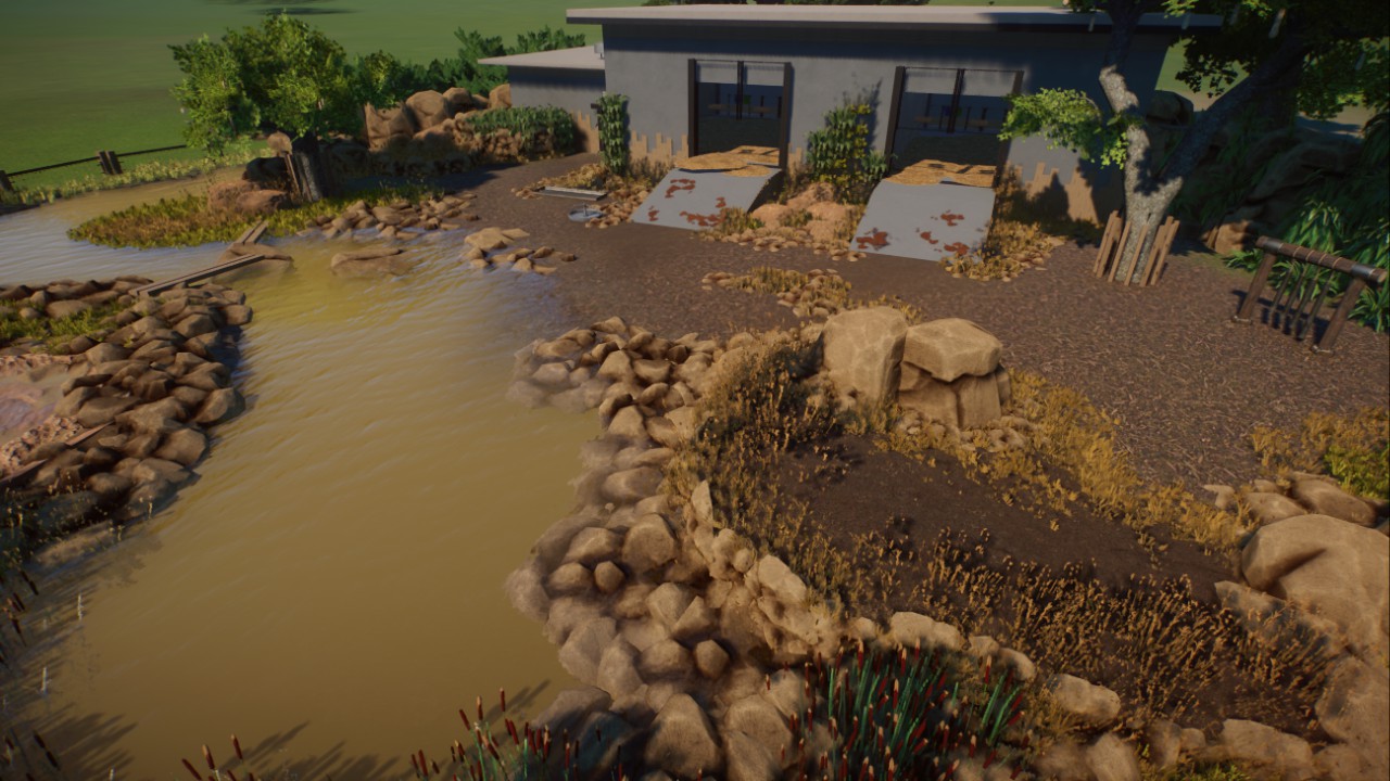 Red River Hog Enclosure