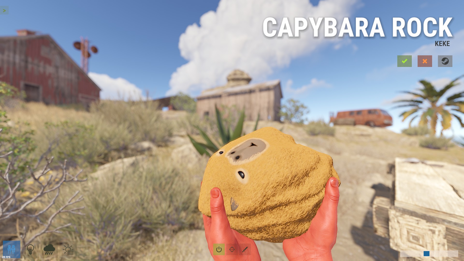 Capybara Rock