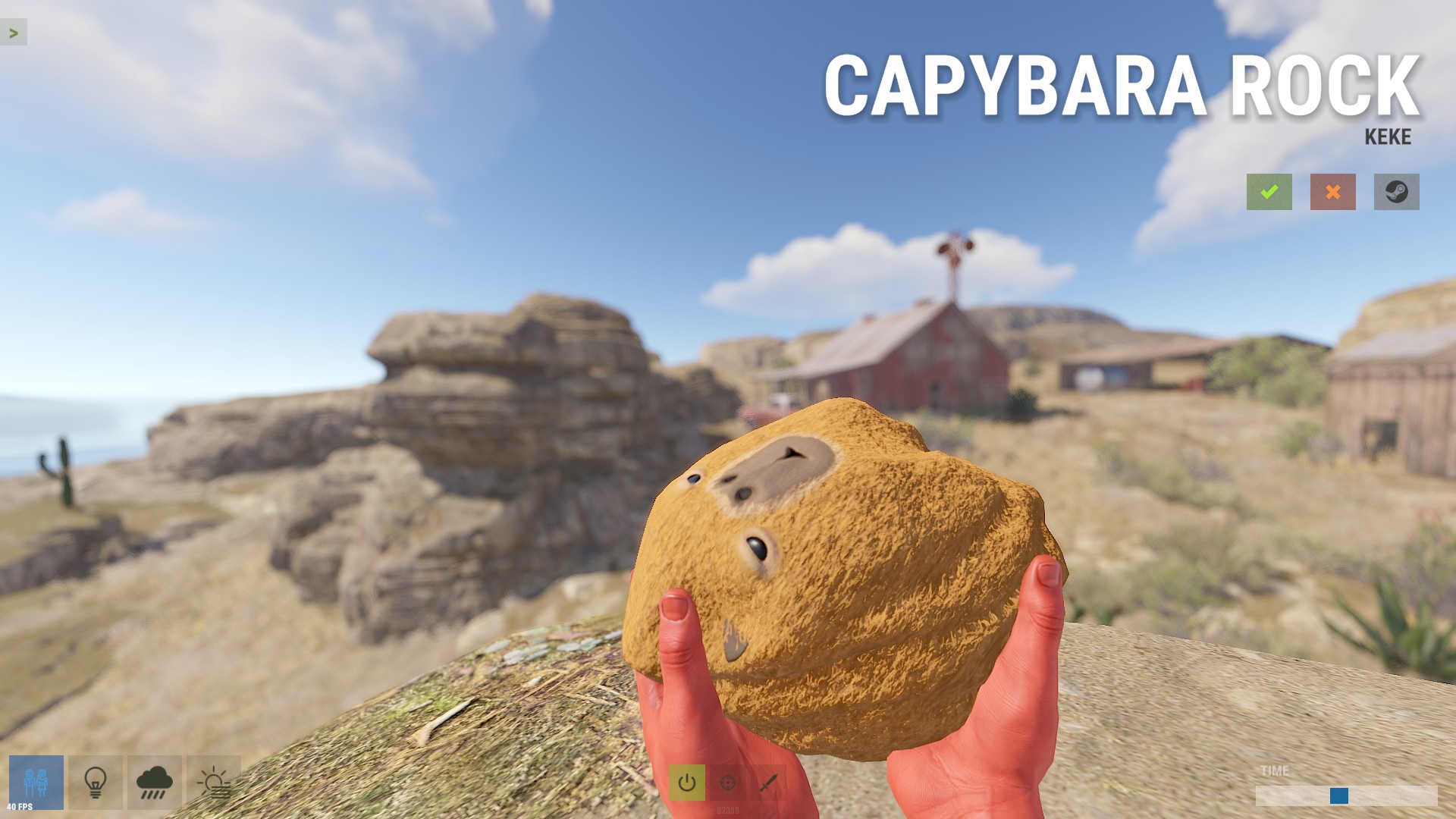 Capybara Rock