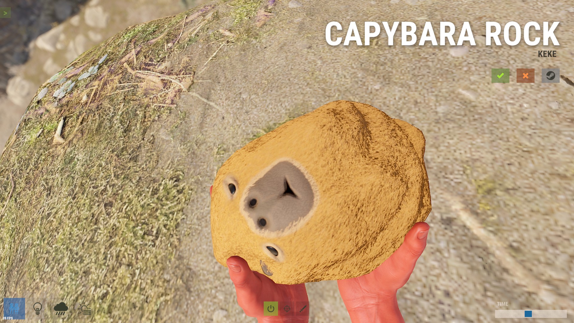 Capybara Rock