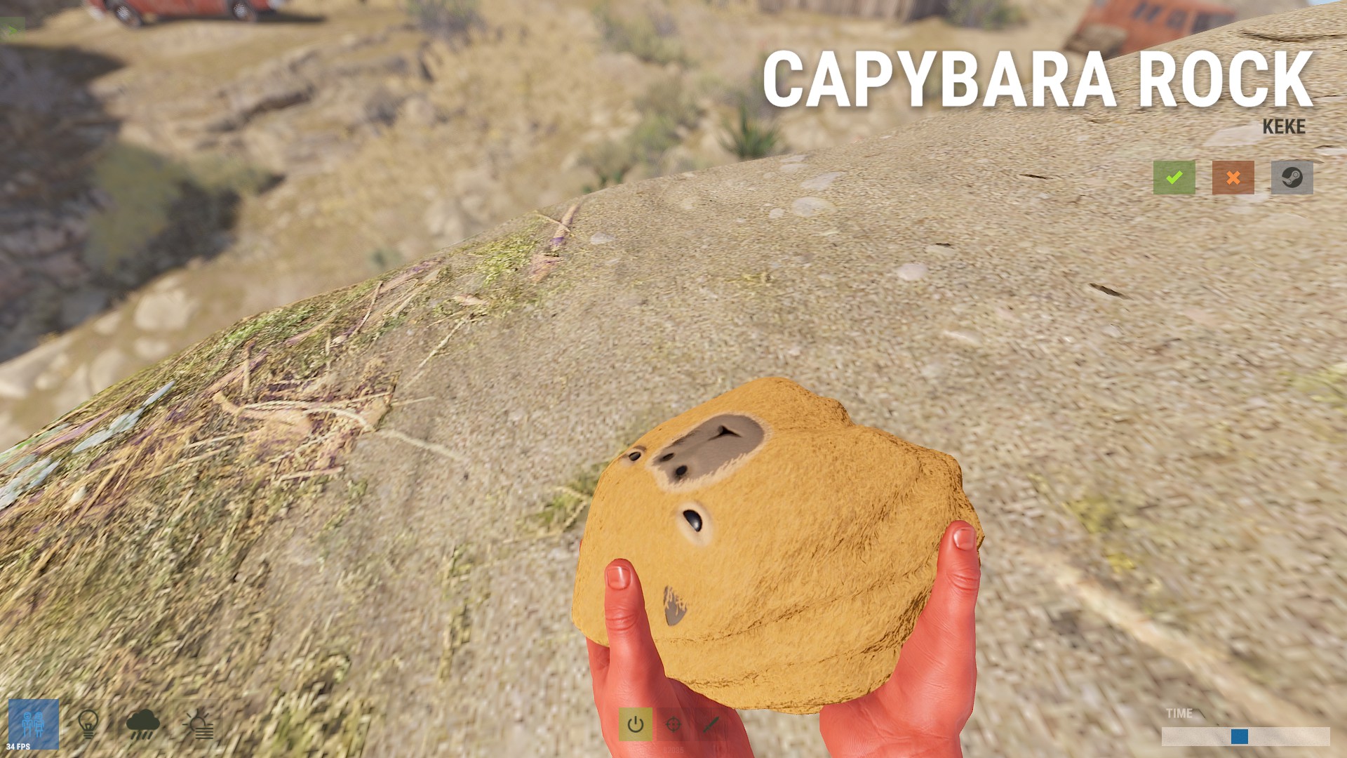 Capybara Rock