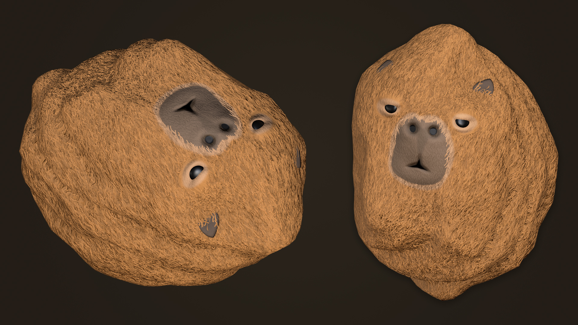 Capybara Rock