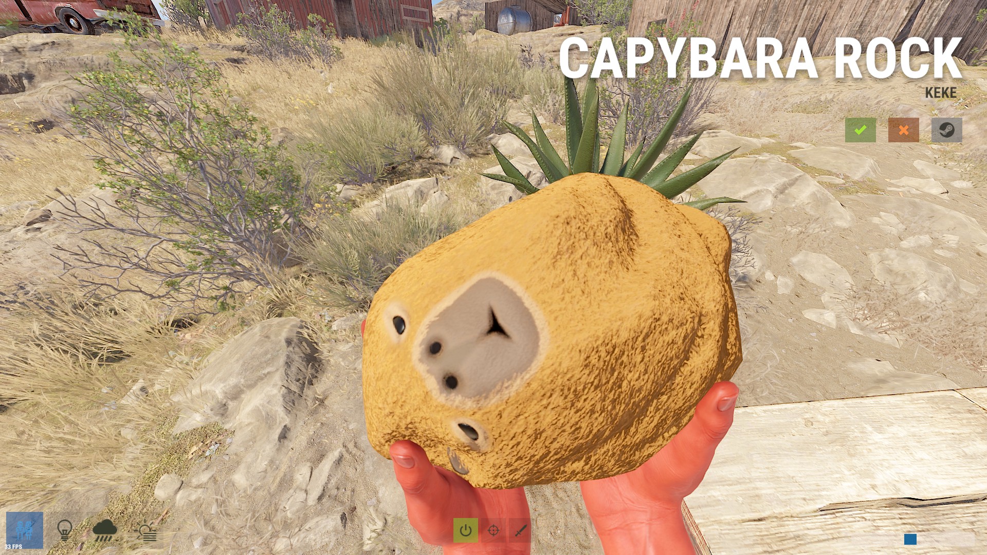 Capybara Rock