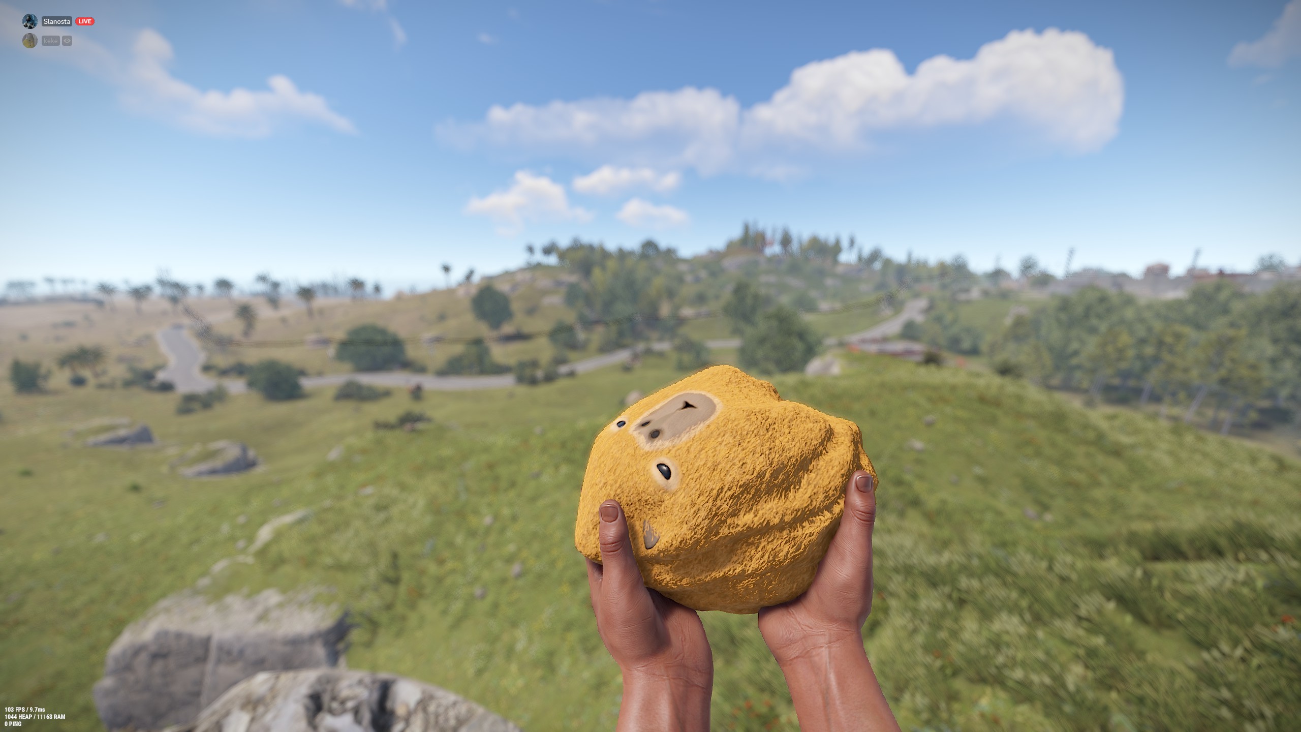 Capybara Rock