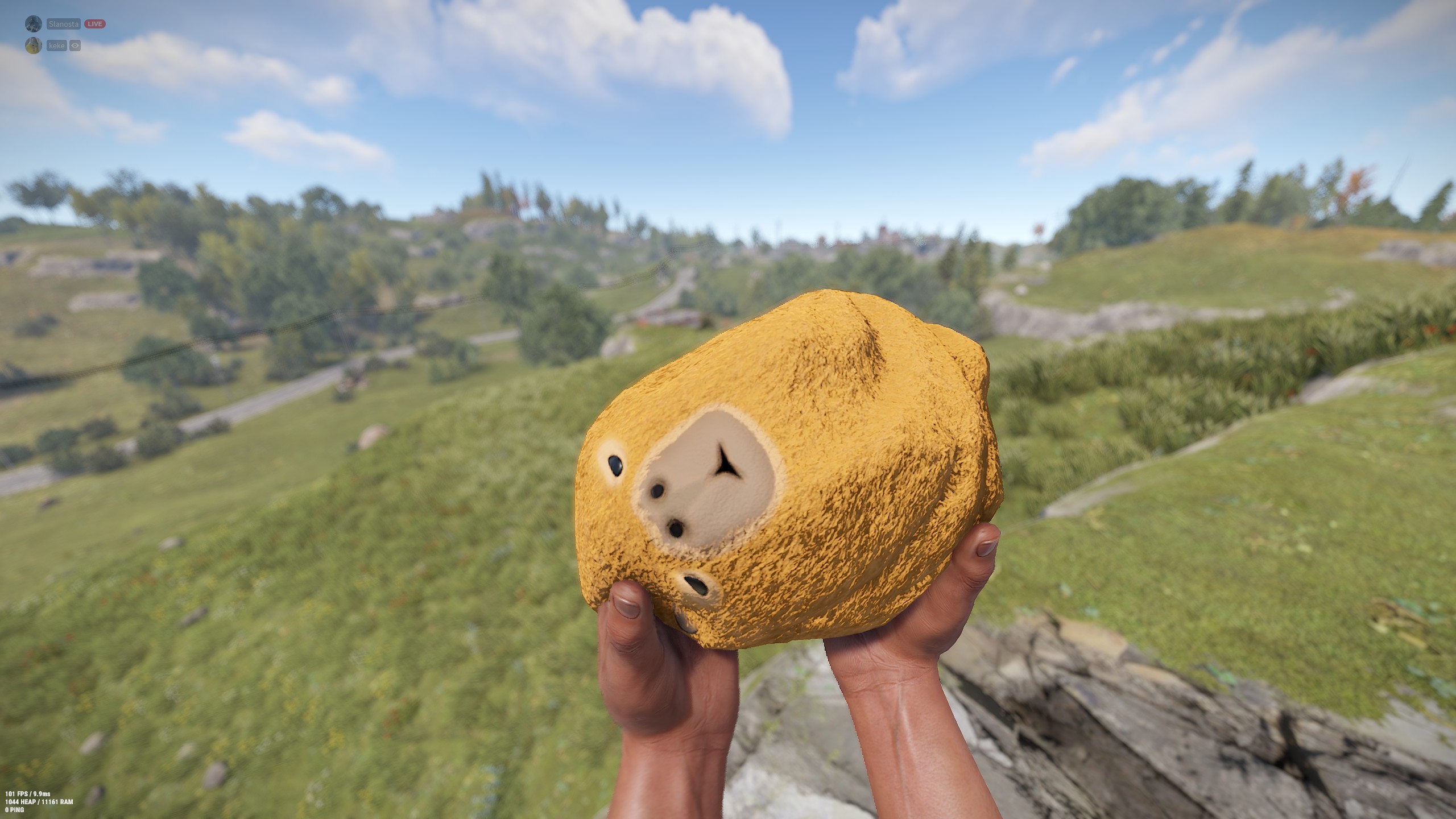 Capybara Rock