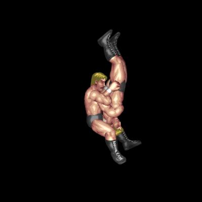 Butterfly Piledriver B