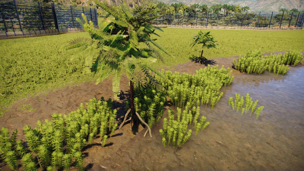 Medium Wiechelsia Reticulata Mangrove