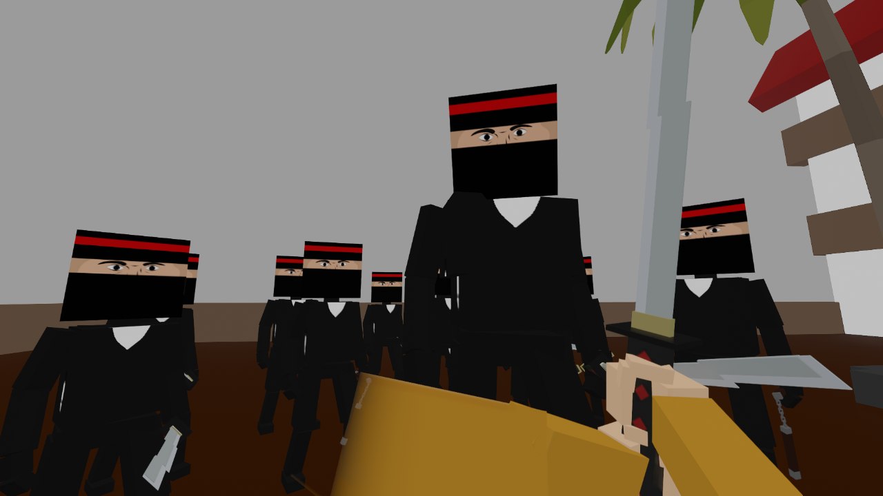 Ninja fight