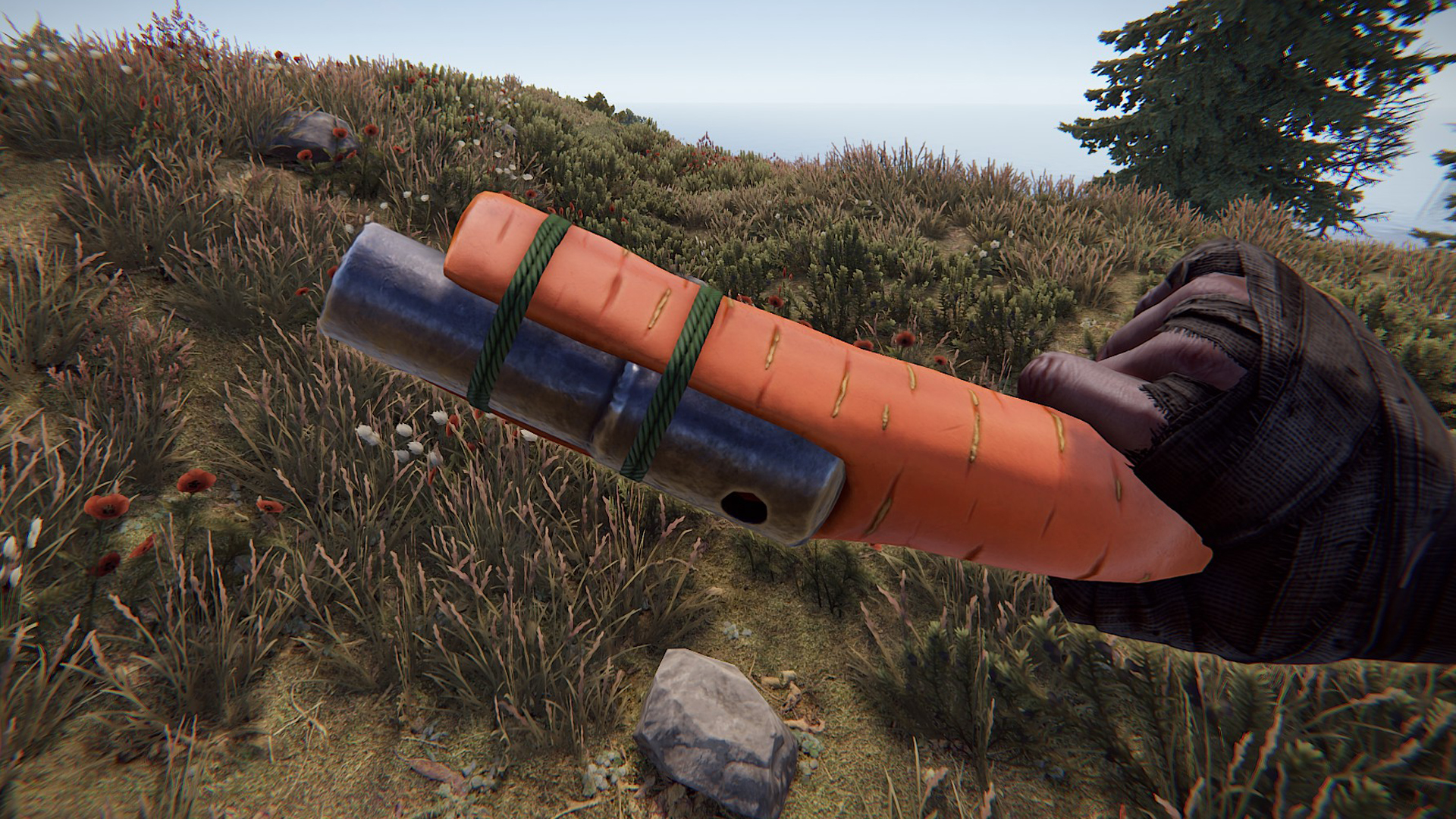 Carrot Eoka