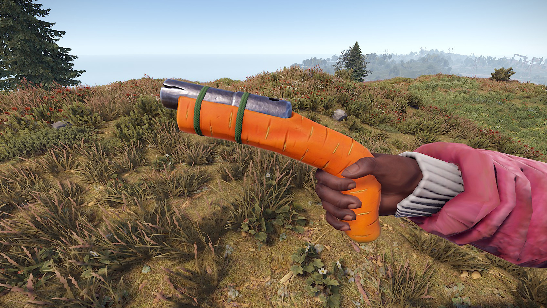 Carrot Eoka