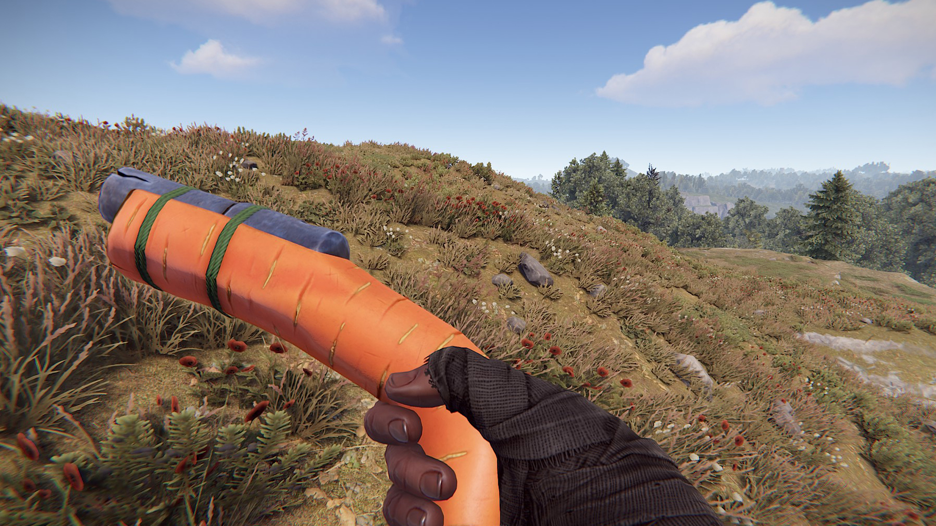 Carrot Eoka