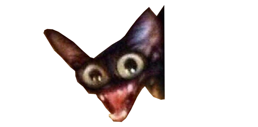 20.6