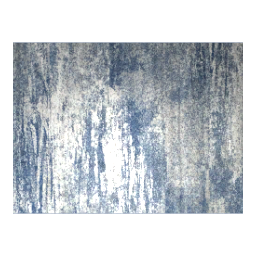 Blue Rug 2