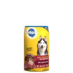 Pedigree Dry Dog Food - High Protein