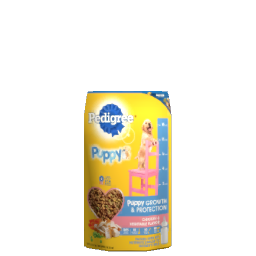 Pedigree Dry Dog Food  - Puppy