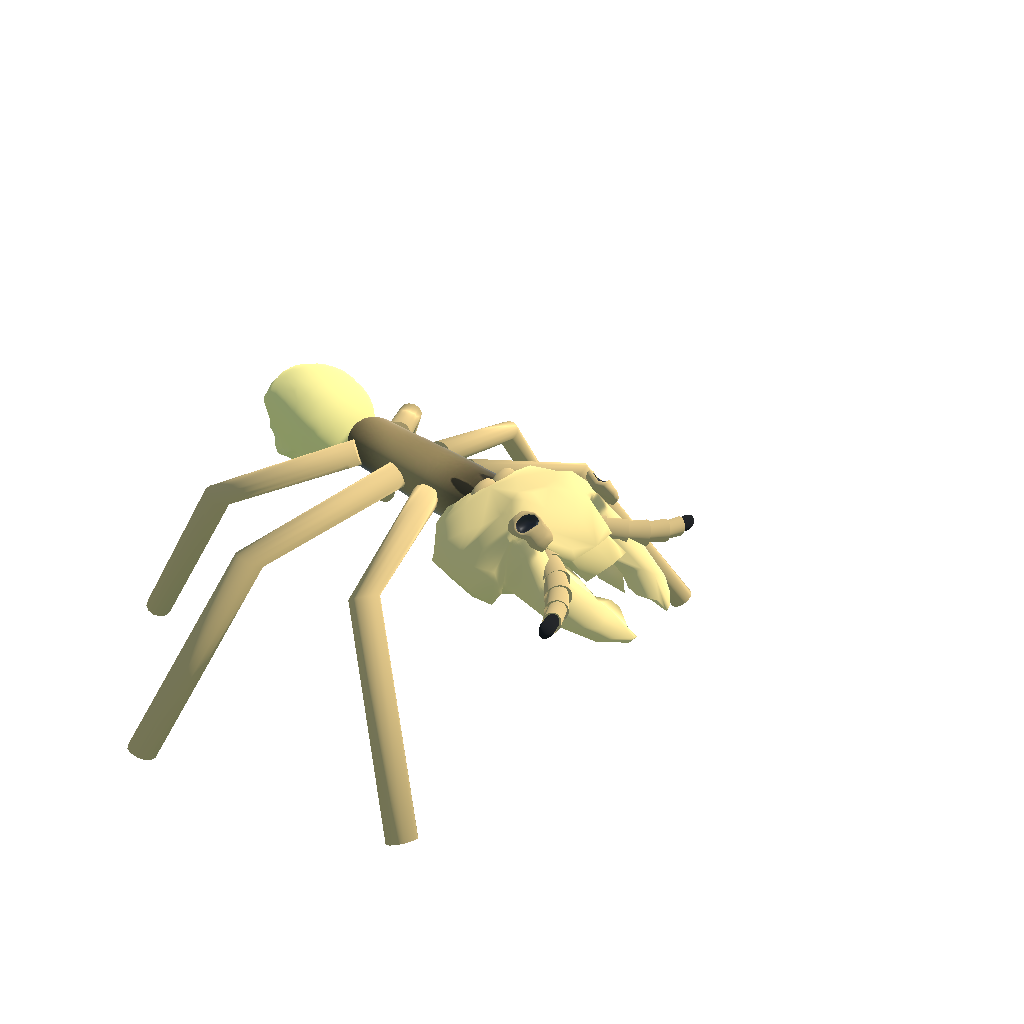 ARMY ANT