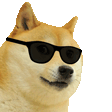 doggo
