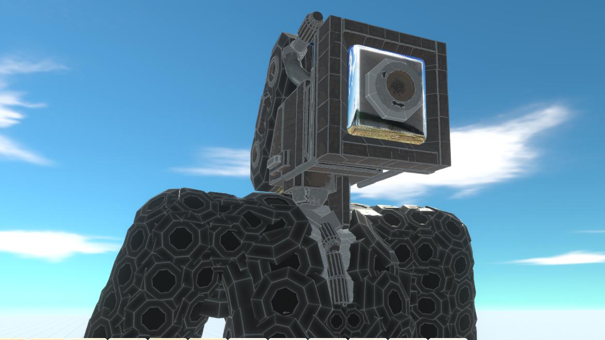 LargeCameraMan