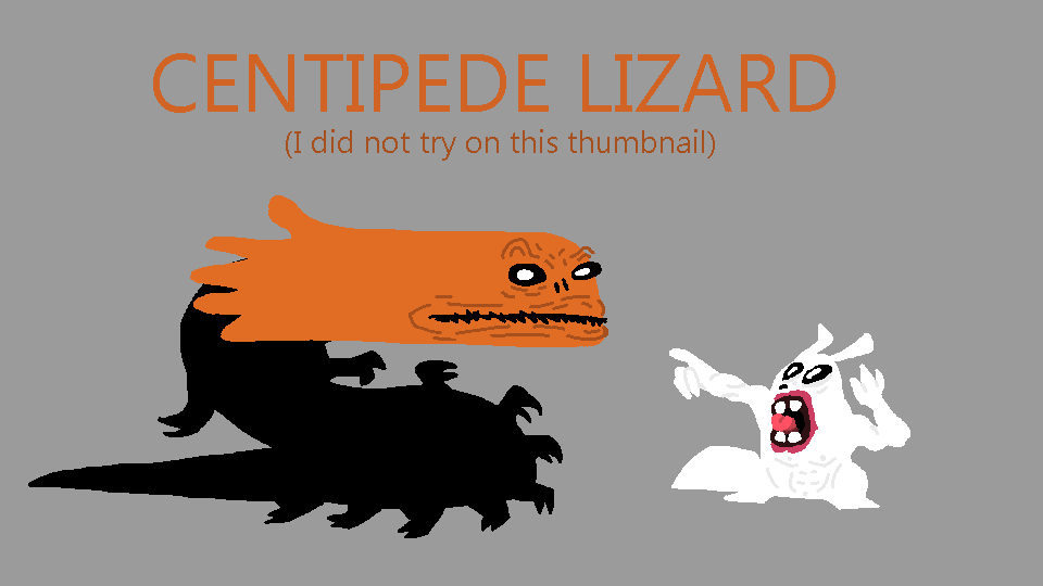 Centipede Lizard