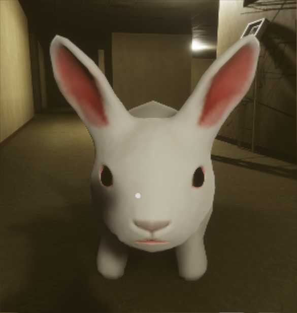 Rabbit with weird sounds