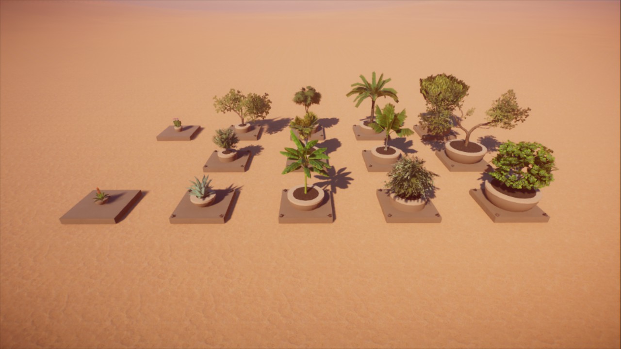 Potted Plants