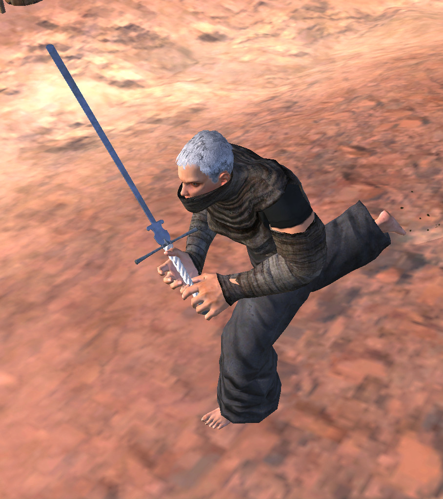Federshwert - Feather Sword - Training Sabre