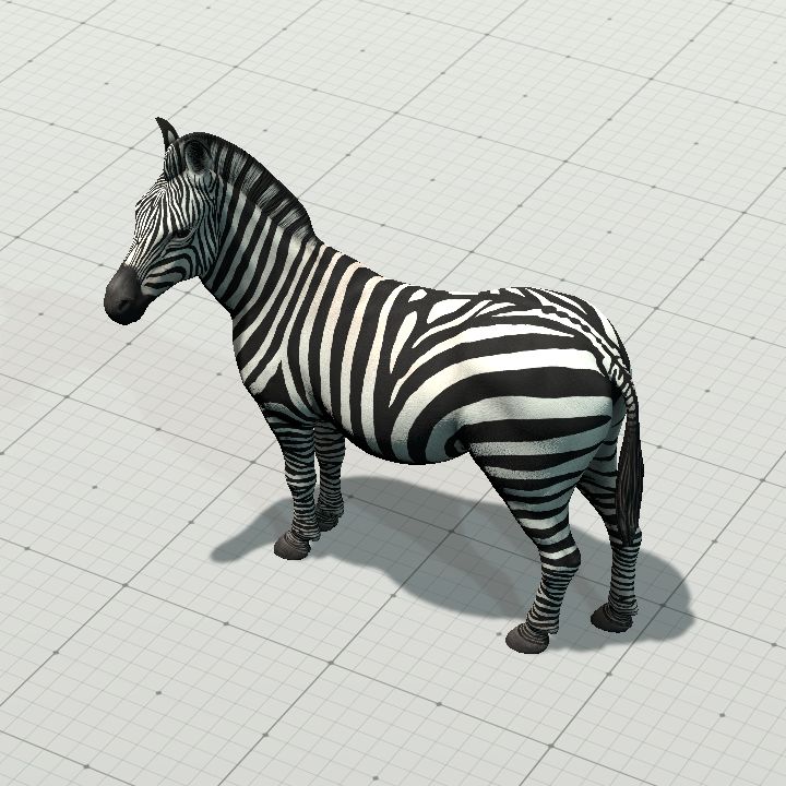 Zebra