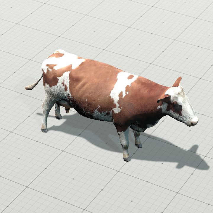 Cow #1