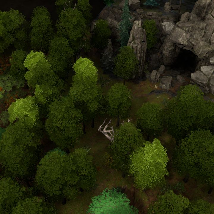 Forest Cave Entrance