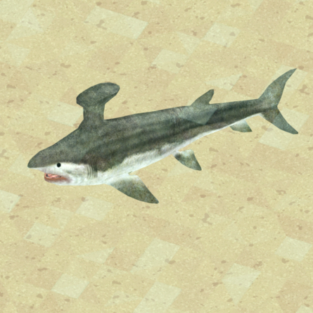 B.A.D. Laboratories Stethacanthus