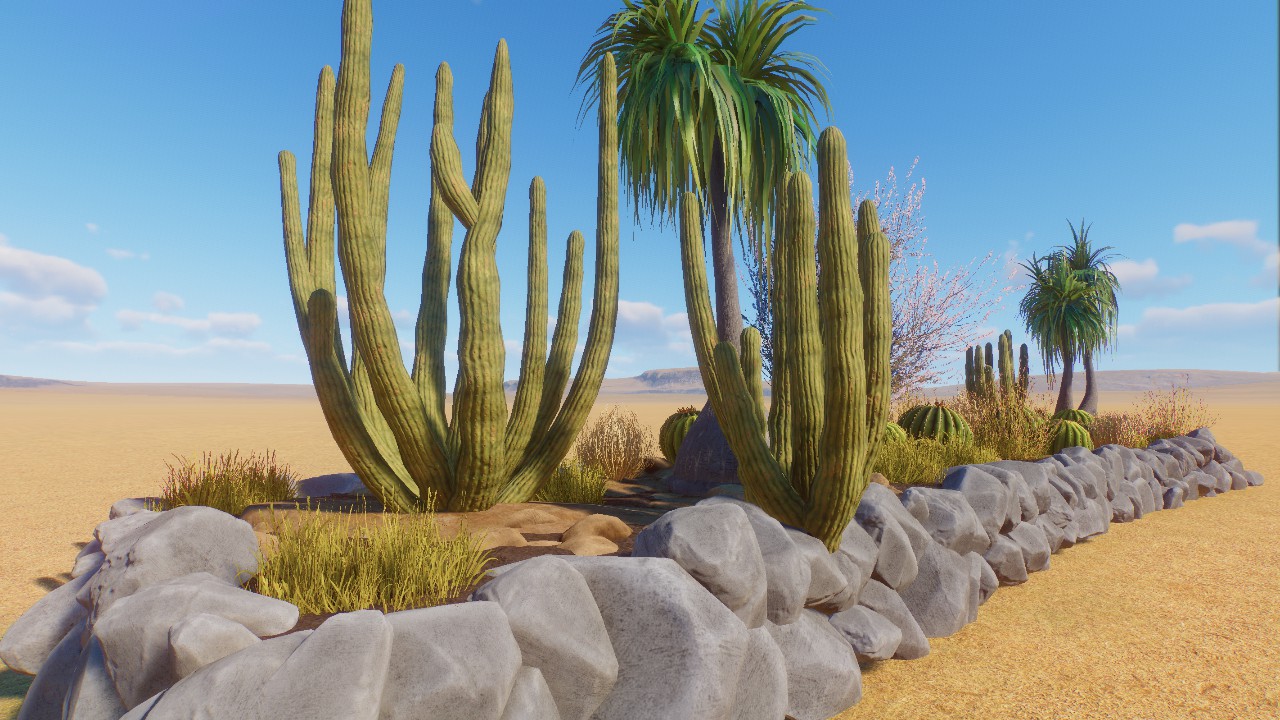 Desert Plants Bed