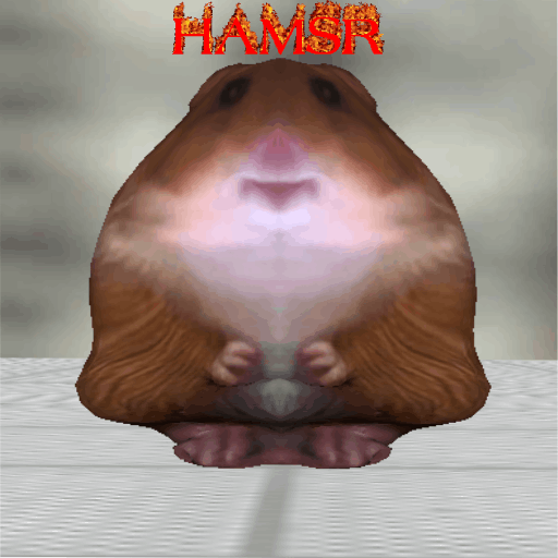 H A M S R