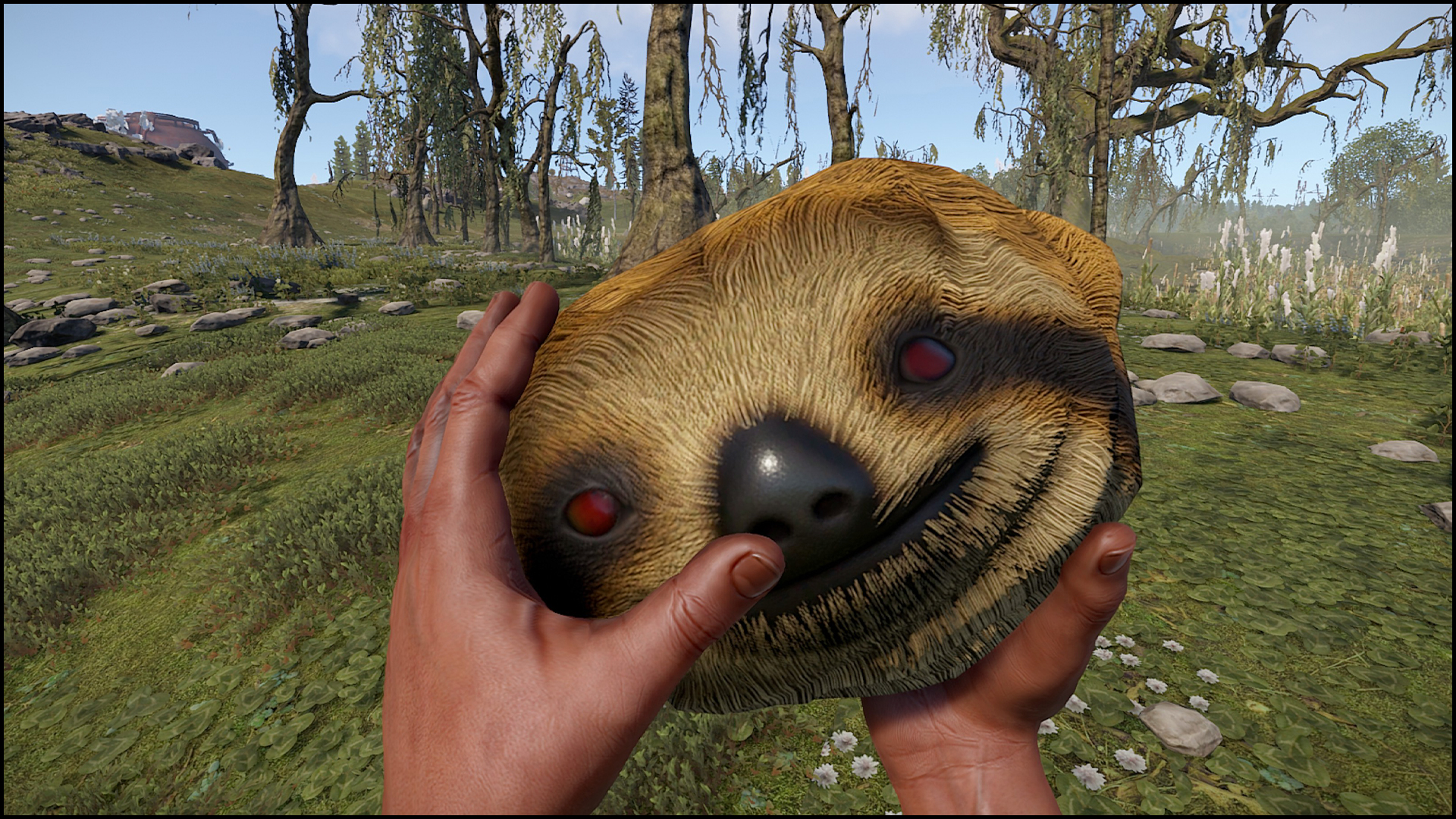 Sloth Rock thumbnail 7