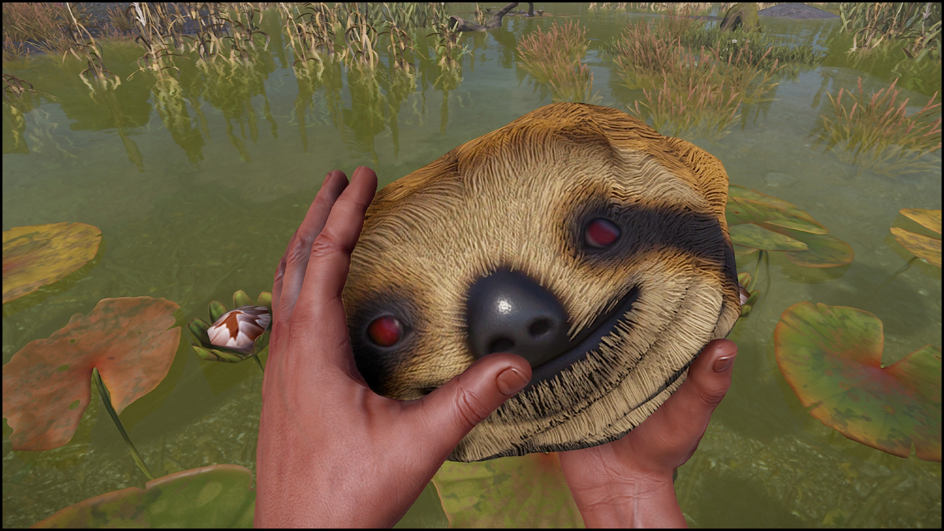 Sloth Rock thumbnail 8