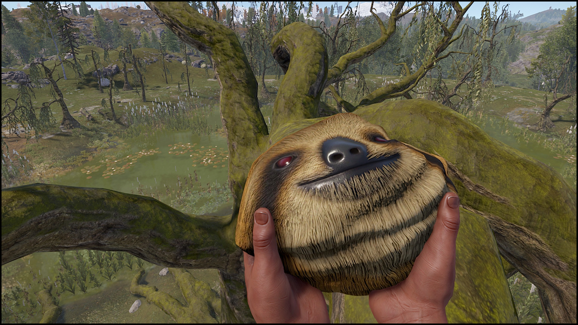 Sloth Rock thumbnail 4