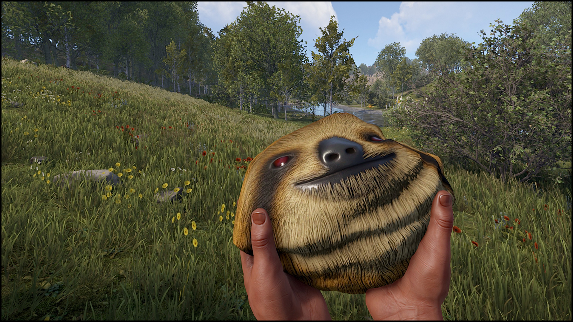 Sloth Rock thumbnail 10